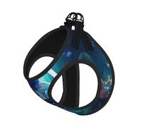 Blue Ocean Ensemble harnais et laisse pour chat et chien, réfléchissant, réglable, anti-fuite, avec maille douce et respirante, pour petits animaux de compagnie et chatons chiots