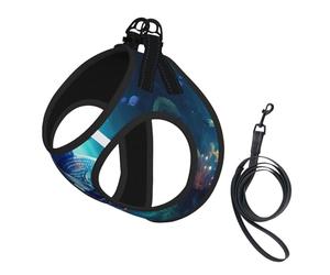 Blue Ocean Ensemble harnais et laisse pour chat et chien, réfléchissant, réglable, anti-fuite, avec maille douce et respirante, pour petits animaux de compagnie et chatons chiots
