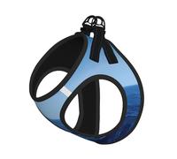 Blue Ocean Ensemble harnais et laisse pour chien et chat, réfléchissant, réglable, anti-fuite, avec maille douce et respirante, pour petits animaux de compagnie et chatons chiots