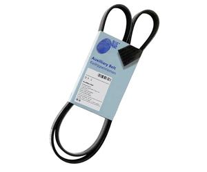 Blue Print ad07r1645 Ceinture auxiliaire