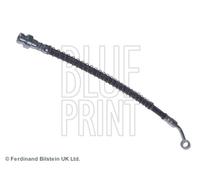 BLUE PRINT ADG053299 Flexible de frein pour HYUNDAI