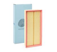 BLUE PRINT ADJ132206 Filtre à air