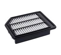 BLUE PRINT ADK82249 Filtre à air du moteur Cartouche filtrante