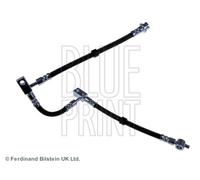 BLUE PRINT ADN153160 Flexible de frein pour NISSAN
