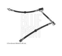 Flexible de frein Essieu avant droit ADN153161 BLUE PRINT pour NISSAN PRIMERA