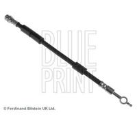 BLUE PRINT Flexible de frein Durite de frein ADM553127 à l'arrière gauche à