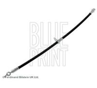 BLUE PRINT Flexible de frein Durite de frein ADT353331C Essieu avant droit 528mm