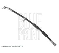 BLUE PRINT Tuyau de frein avant gauche ADM553121