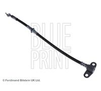 BLUE PRINT ADT353132 Flexible de frein
