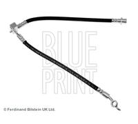 BLUE PRINT Tuyau de Frein Conduite Arrière Gauche pour Toyota Yaris ADT353281