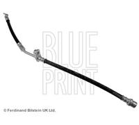 BLUE PRINT Tuyau de Frein Conduite Avant Droite pour Toyota Yaris ADT353341