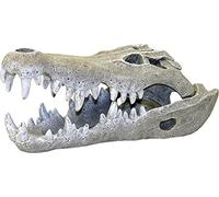 Blue Ribbon Rosewood Décor pour Aquarium Crâne de Crocodile du Nil Petit