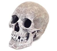 Blue Ribbon Rosewood Décor pour Aquarium Crâne d'Humain Très Réaliste