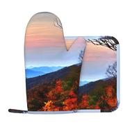 Blue Ridge Mountains Équipement de cuisine pour homme et femme Gants en silicone anti-brûlure pour griller rôtir