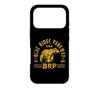 Blue Ridge Parkway NC VA USA Bear Design Vieilli Coque pour iPhone 17 Pro