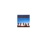 Blue Ridge Rangers - Rides Again