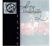 Blue Skies Burning - Last Leg of My First Race