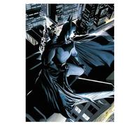Blue Sky Studios Affiche En Cristal Batman Dc Comics