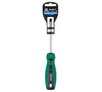 Blue Spot Tools 13006 Tournevis à fente Vert 6,5 x 100 mm