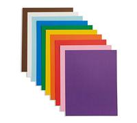 Blue Summit Supplies Lot de 50 tableaux pour affiches de 22,9 x 30,5 cm, couleurs assorties, pour une utilisation en classe, pour projets scolaires ou projets d'artisanat