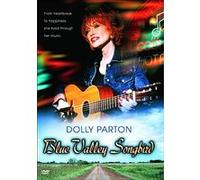 Blue valley songbird