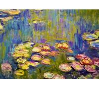 Bluebird Puzzle Claude Monet - Nymphéas - Pièces