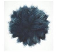 Bluebrain - Soft Power