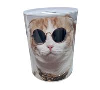 BLUECHOLON Tirelire Originale avec Style et Message. Grande Tirelire pour Adultes. Tirelire en étain, Cadeau. Tirelire XL. (15x10, Chat Molla Il Cash)