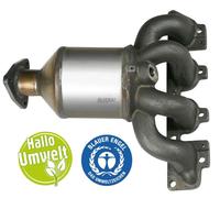 BLUEKAT 22305021 Catalyseur