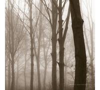 Blueneck Scars Of The Midwest