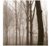 Blueneck Scars Of The Midwest