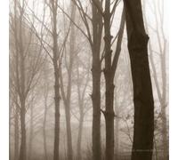 Scars of the midwest