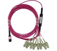 BlueOptics câble breakout fibre optique, MTP/UPC, 4xDuplex SC/UPC, 2 mètres, multimode G50/125µm, OM4, fibre de marque, 3.0mm LSZH magenta / violet, 8 noyaux (affectation 1-4 & 9-12, pour utilisation