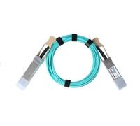 BlueOptics Kompatibles Brocade 100G-QSFP-QSFP-AOC-3001 QSFP28 Aktives Optisches Kabel (AOC), 100GBASE-SR4, Ethernet, Infiniband, 30 mètres (100G-QSFP-QSFP-AOC-3001-BO) Marque
