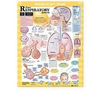 Blueprint For Health Your Respiratory System Chart