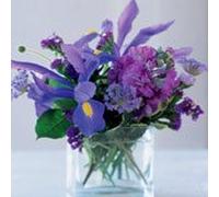 Blues Brothers Band, the - Blues for You [Import]