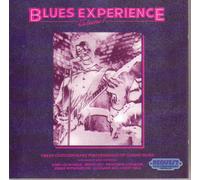 Blues Experience Vol 1