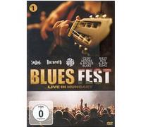 Blues fest live in Hungary G