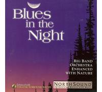 Blues in the Night - Big Band Orchestra Enhanced with Nature (2002-05-09)