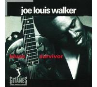 Joe Louis Walker – Blues Survivor – Verve Spa