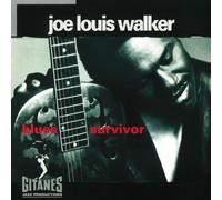 Blues Survivor by Joe Louis Walker (1993-10-19)