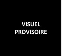 Bluesnik Édition Limitée Vinyle