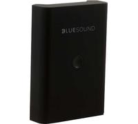 Bluesound BP100 - Batteries rechargeables