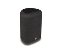 Bluesound Pulse Flex P130 Noir Pièce Streaming Sans Fil Bluetooth Haut-Parleur