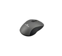 Bluestork M-WL-OFF60 souris Bureau Ambidextre RF sans fil Optique 1600 DPI