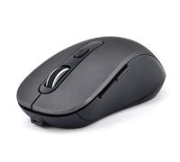 Bluestork - Souris sans Fil Rechargeable, Silencieuse, Récepteur USB, 2,5 Ghz, Souris sans Fil, 6 Boutons, Design Ergonomique, 800-1600 Dpi, Compatible Pc, Mac, Ordinateur Portable -2023 (Gris)
