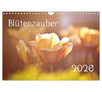 Blütenzauber 2026 (Wandkalender 2026 DIN A4 quer), CALVENDO Monatskalender: Kreativ und verspielt - 12 Pflanzen welche jeden Monat des Jahres magisch verzaubern