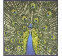 Bluetones - Expecting to Fly