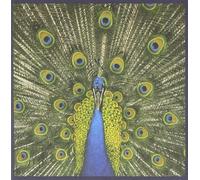 Bluetones – Expecting To Fly