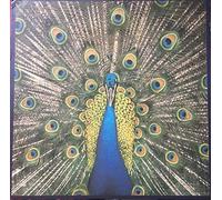 Bluetones, the - Expecting to Fly [Import]